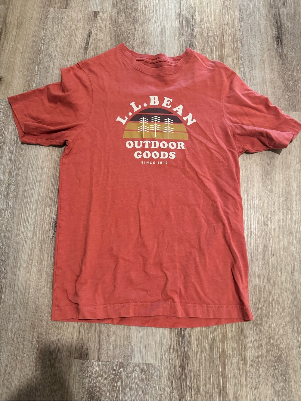 L.L. Bean Men's Outdoor Goods Graphic Tee - Rust